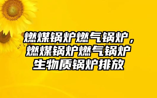 燃煤鍋爐燃?xì)忮仩t，燃煤鍋爐燃?xì)忮仩t生物質(zhì)鍋爐排放