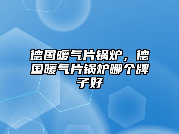 德國(guó)暖氣片鍋爐，德國(guó)暖氣片鍋爐哪個(gè)牌子好