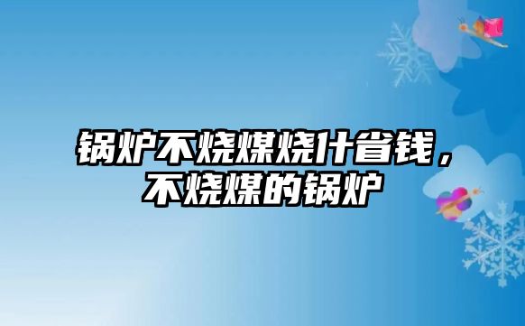 鍋爐不燒煤燒什省錢，不燒煤的鍋爐