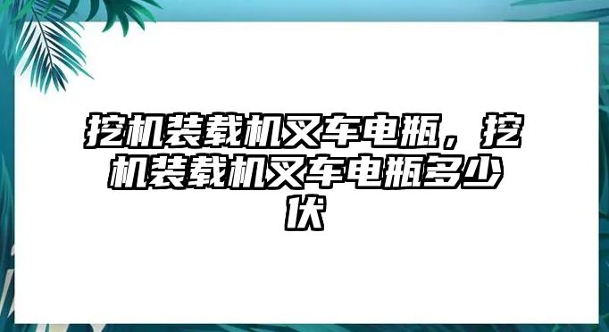 挖機(jī)裝載機(jī)叉車(chē)電瓶，挖機(jī)裝載機(jī)叉車(chē)電瓶多少伏