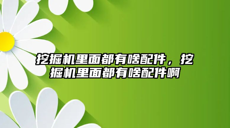 挖掘機(jī)里面都有啥配件，挖掘機(jī)里面都有啥配件啊