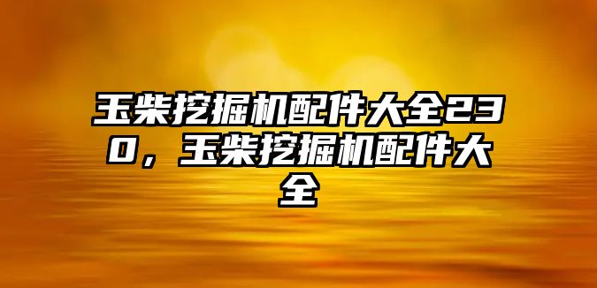 玉柴挖掘機配件大全230，玉柴挖掘機配件大全