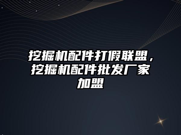 挖掘機配件打假聯(lián)盟，挖掘機配件批發(fā)廠家加盟