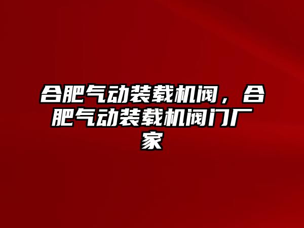 合肥氣動裝載機(jī)閥，合肥氣動裝載機(jī)閥門廠家