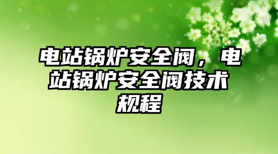 電站鍋爐安全閥，電站鍋爐安全閥技術規(guī)程