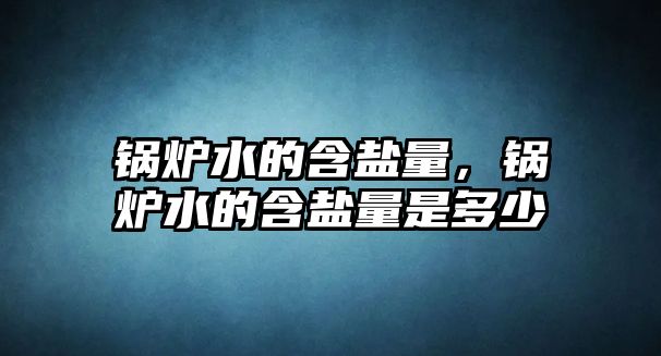 鍋爐水的含鹽量，鍋爐水的含鹽量是多少