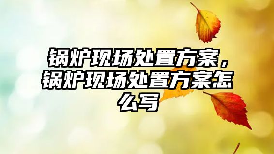 鍋爐現(xiàn)場(chǎng)處置方案，鍋爐現(xiàn)場(chǎng)處置方案怎么寫(xiě)