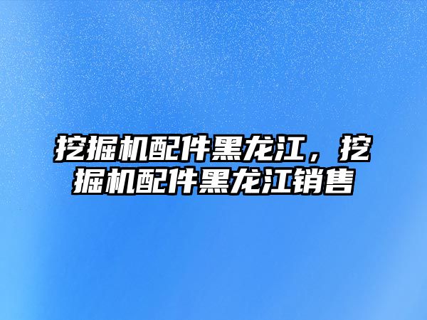 挖掘機(jī)配件黑龍江，挖掘機(jī)配件黑龍江銷售