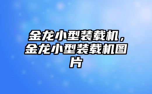 金龍小型裝載機，金龍小型裝載機圖片