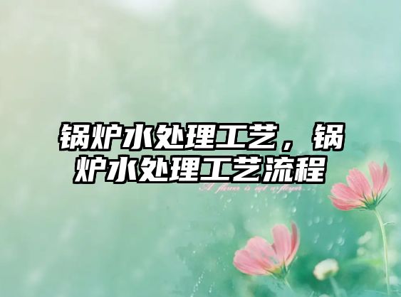 鍋爐水處理工藝，鍋爐水處理工藝流程