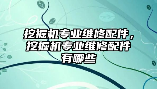 挖掘機(jī)專業(yè)維修配件，挖掘機(jī)專業(yè)維修配件有哪些