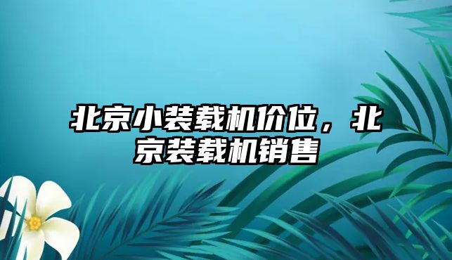 北京小裝載機(jī)價(jià)位，北京裝載機(jī)銷售