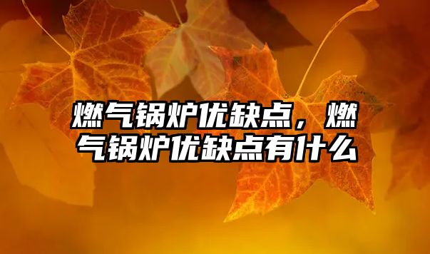 燃?xì)忮仩t優(yōu)缺點，燃?xì)忮仩t優(yōu)缺點有什么