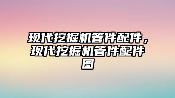 現(xiàn)代挖掘機(jī)管件配件，現(xiàn)代挖掘機(jī)管件配件圖