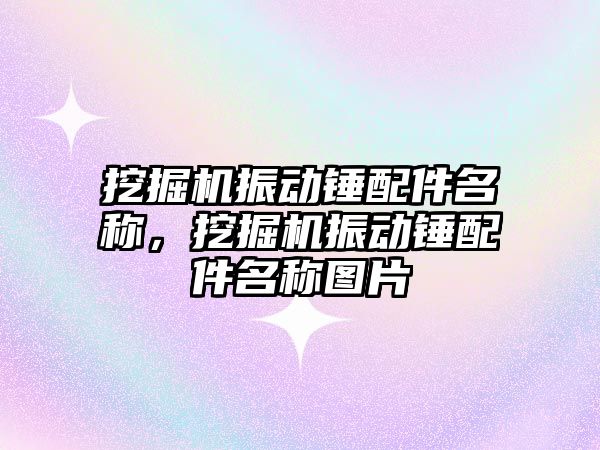 挖掘機振動錘配件名稱，挖掘機振動錘配件名稱圖片