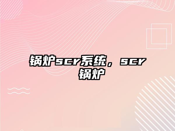 鍋爐scr系統(tǒng)，scr 鍋爐