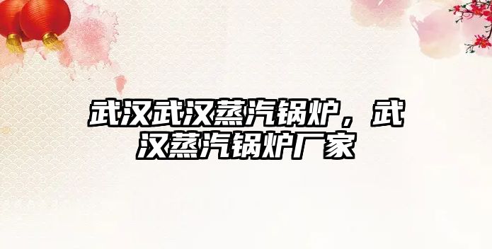 武漢武漢蒸汽鍋爐，武漢蒸汽鍋爐廠家