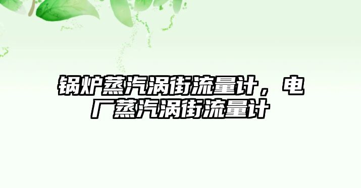 鍋爐蒸汽渦街流量計，電廠蒸汽渦街流量計