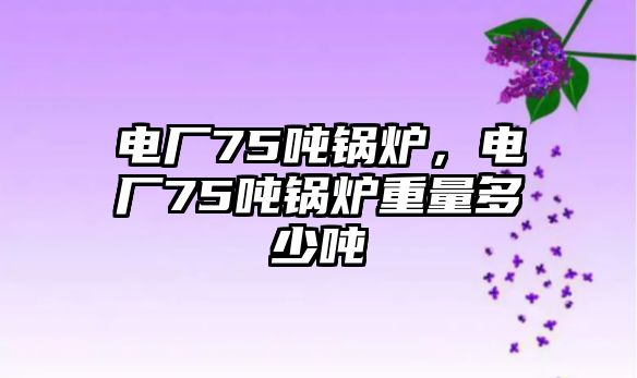 電廠75噸鍋爐，電廠75噸鍋爐重量多少噸