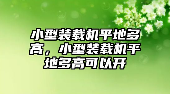 小型裝載機平地多高，小型裝載機平地多高可以開