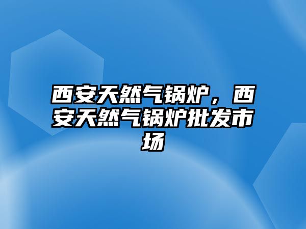 西安天然氣鍋爐，西安天然氣鍋爐批發(fā)市場(chǎng)