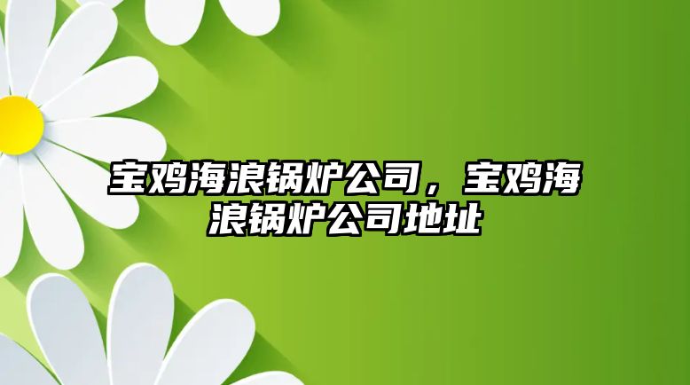 寶雞海浪鍋爐公司，寶雞海浪鍋爐公司地址