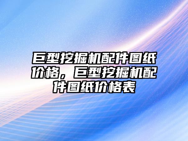 巨型挖掘機配件圖紙價格，巨型挖掘機配件圖紙價格表