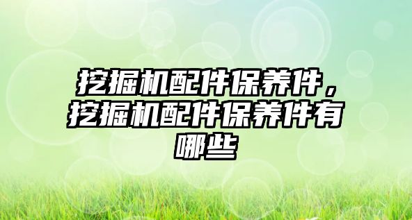 挖掘機配件保養(yǎng)件，挖掘機配件保養(yǎng)件有哪些