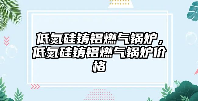 低氮硅鑄鋁燃氣鍋爐，低氮硅鑄鋁燃氣鍋爐價格