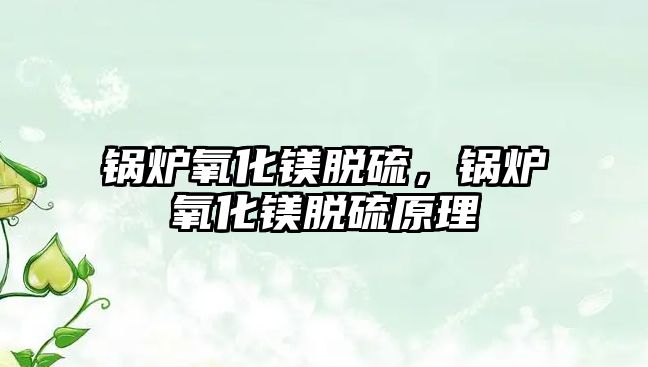 鍋爐氧化鎂脫硫，鍋爐氧化鎂脫硫原理