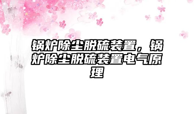 鍋爐除塵脫硫裝置，鍋爐除塵脫硫裝置電氣原理