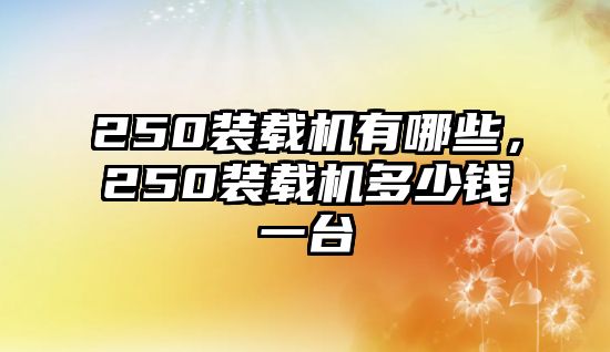 250裝載機(jī)有哪些，250裝載機(jī)多少錢(qián)一臺(tái)