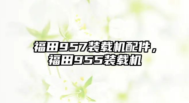 福田957裝載機(jī)配件，福田955裝載機(jī)