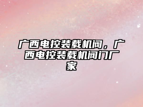 廣西電控裝載機閥，廣西電控裝載機閥門廠家