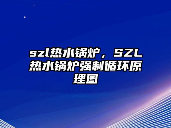 szl熱水鍋爐，SZL熱水鍋爐強制循環(huán)原理圖