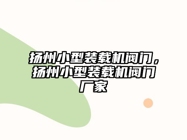 揚州小型裝載機閥門，揚州小型裝載機閥門廠家