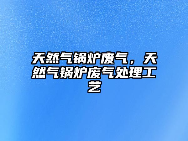 天然氣鍋爐廢氣，天然氣鍋爐廢氣處理工藝