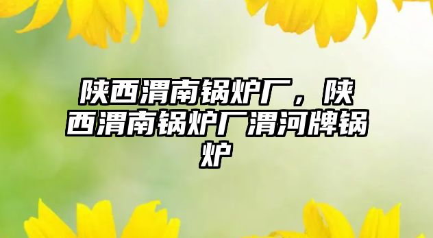 陜西渭南鍋爐廠，陜西渭南鍋爐廠渭河牌鍋爐