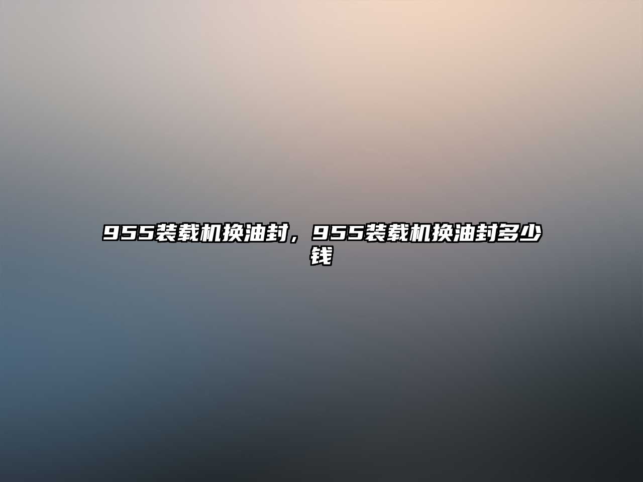 955裝載機(jī)換油封，955裝載機(jī)換油封多少錢(qián)