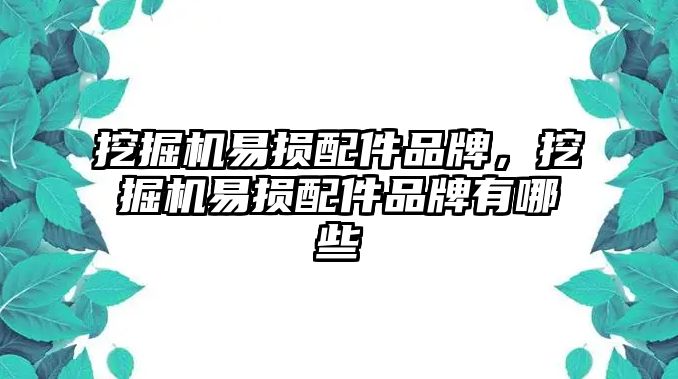 挖掘機易損配件品牌，挖掘機易損配件品牌有哪些