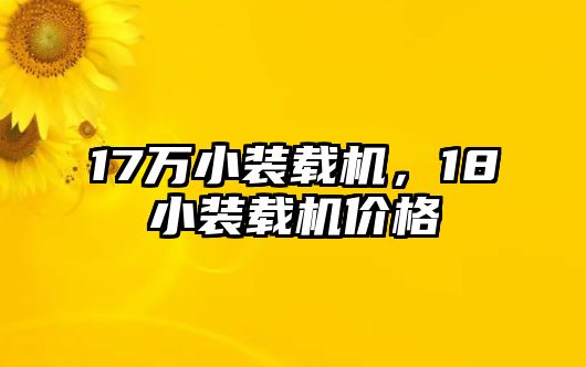 17萬小裝載機(jī)，18小裝載機(jī)價(jià)格