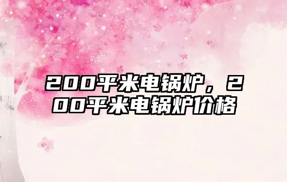 200平米電鍋爐，200平米電鍋爐價(jià)格