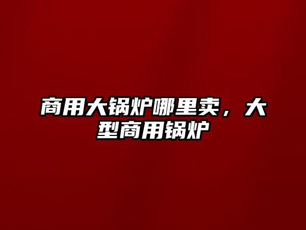 商用大鍋爐哪里賣，大型商用鍋爐