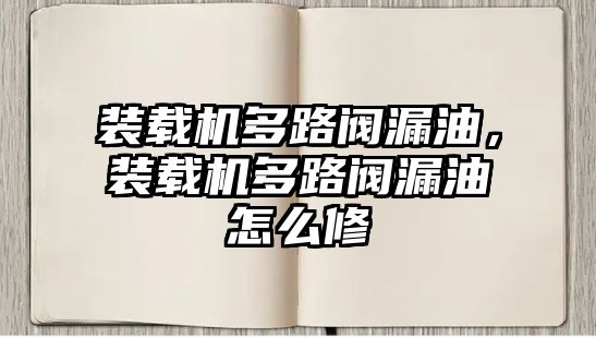 裝載機多路閥漏油，裝載機多路閥漏油怎么修