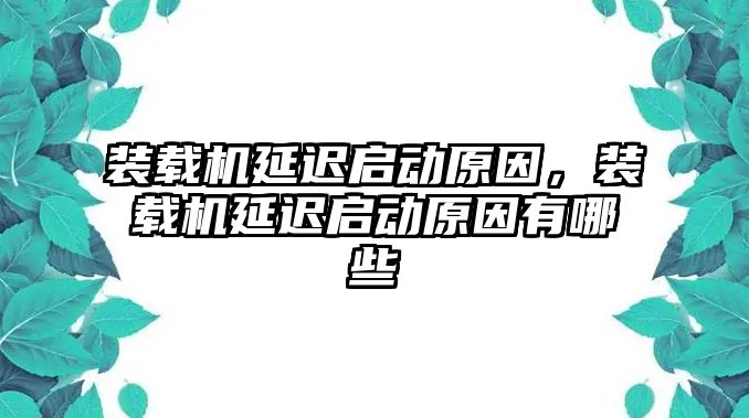 裝載機(jī)延遲啟動(dòng)原因，裝載機(jī)延遲啟動(dòng)原因有哪些