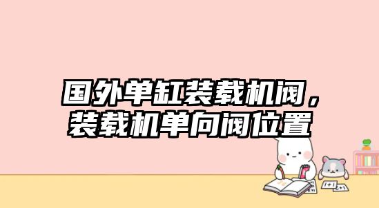 國外單缸裝載機(jī)閥，裝載機(jī)單向閥位置