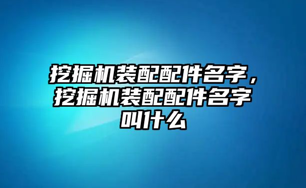 挖掘機(jī)裝配配件名字，挖掘機(jī)裝配配件名字叫什么