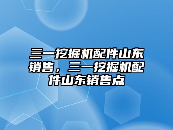 三一挖掘機配件山東銷售，三一挖掘機配件山東銷售點