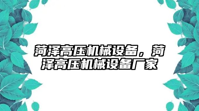 菏澤高壓機(jī)械設(shè)備，菏澤高壓機(jī)械設(shè)備廠家