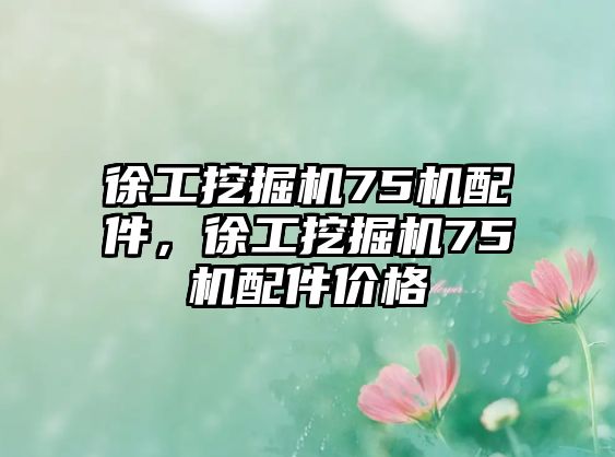 徐工挖掘機75機配件，徐工挖掘機75機配件價格